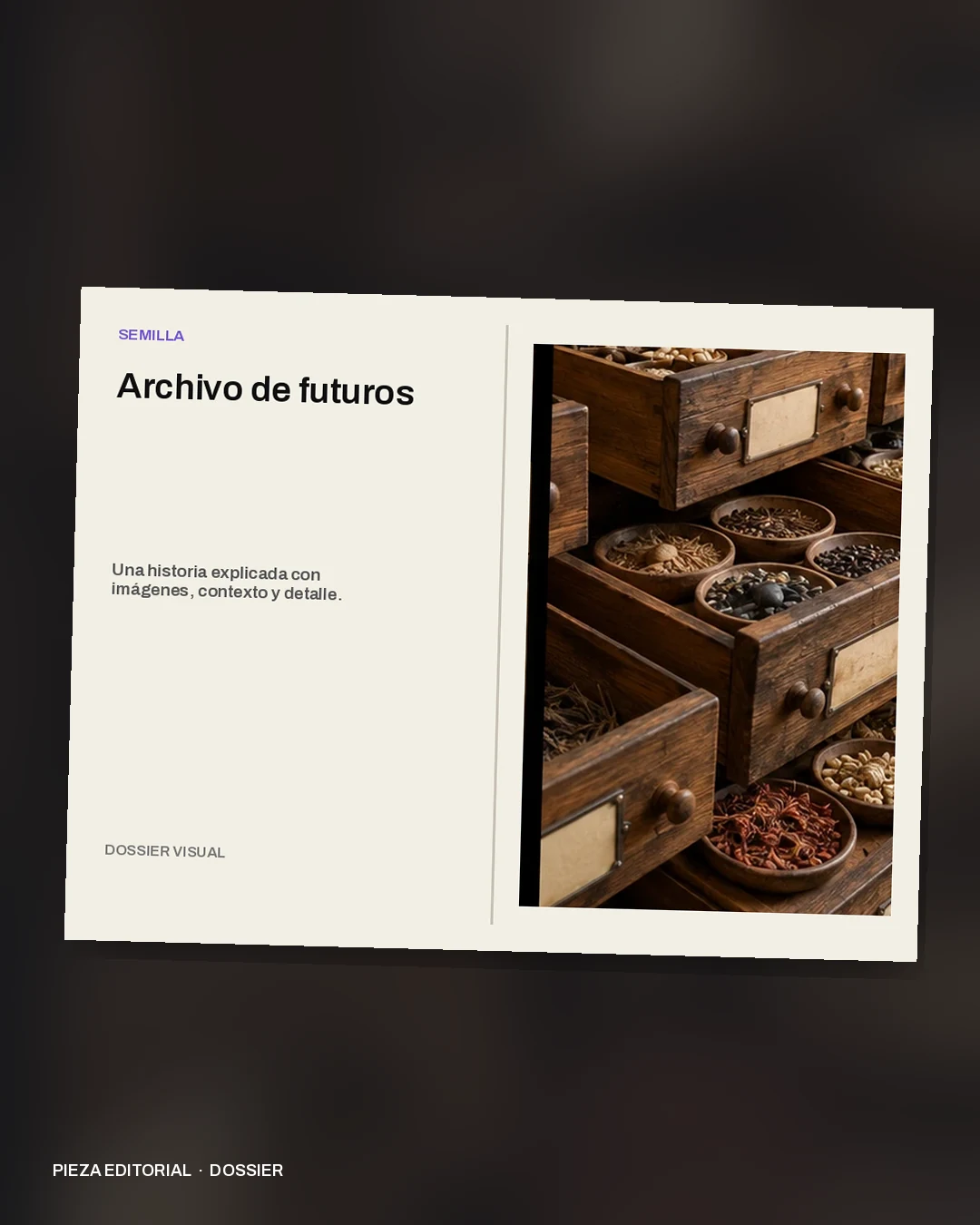 Mockup conceptual de Dossier para Semilla: Archivo de futuros